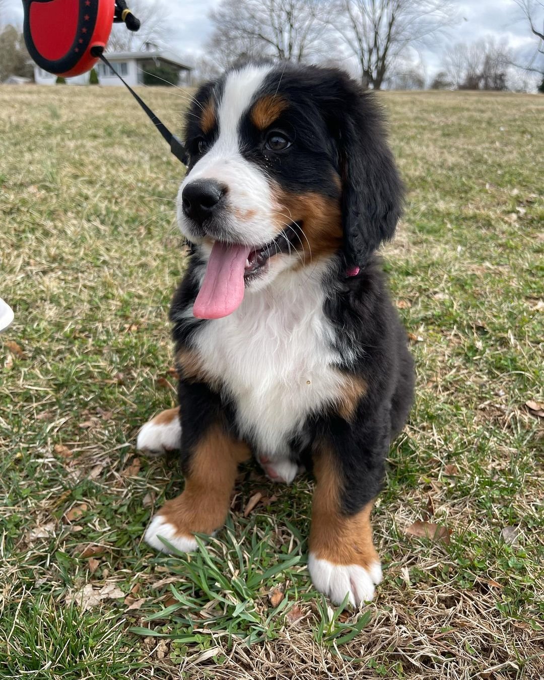 nycberner_277962529_696519801591632_496696758150082405_n